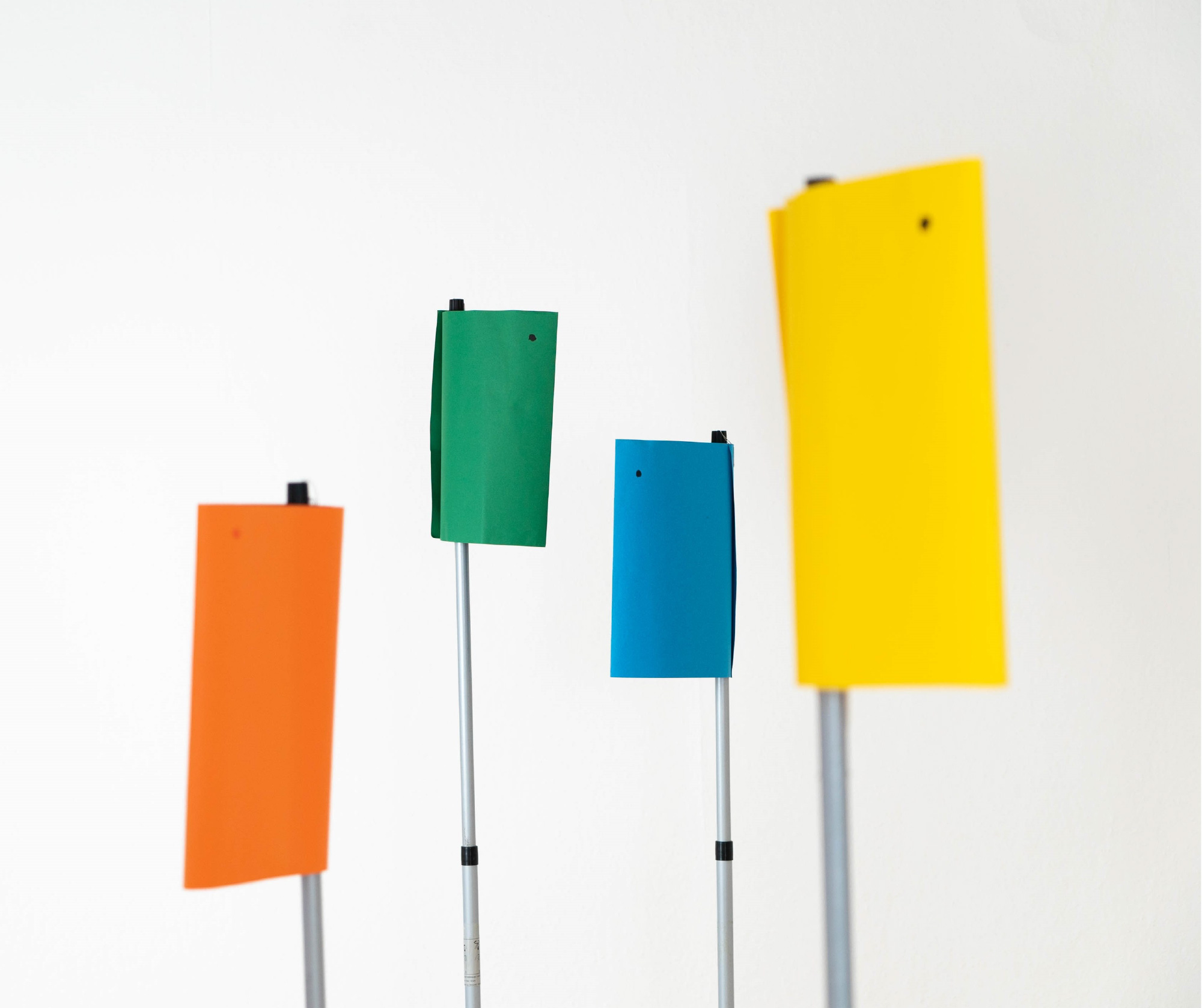 Institut PROVIL - Gaby Bachmann | Aufstellung